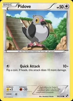 Pidove