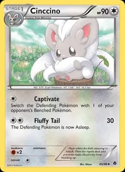 Cinccino