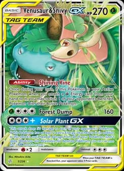 Venusaur & Snivy GX